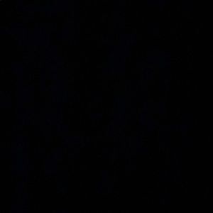 Meet your Posher, Emilia